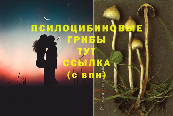 2c-b Алексин