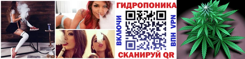 купить   Миньяр  Бошки Шишки планчик 